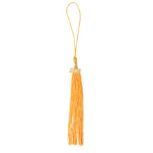 Load image into Gallery viewer, Class of 2018 Academic Graduation Gown Tassels for Graduate Ceremony